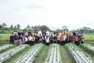 Goto Impact Foundation (Gif), Organisasi Sosial Bentukan Grup Goto, Memperkenalkan Program Pertanian Regeneratif Bernama Magelang Setories.