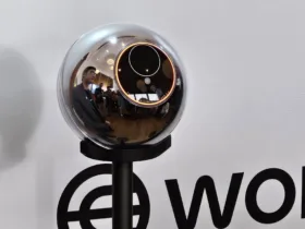 Worldcoin Dan Worldid Dibekukan