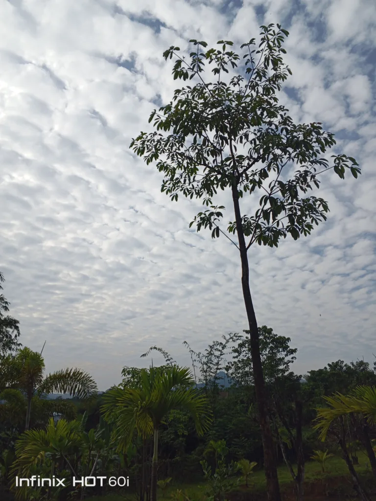 Img 20250707 080111 434