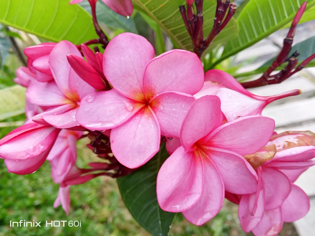 Img 20250707 080516 450