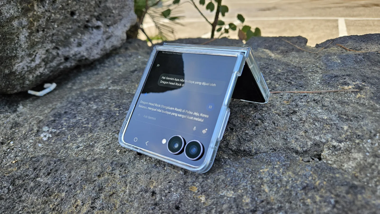 Ai