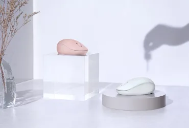 Mouse