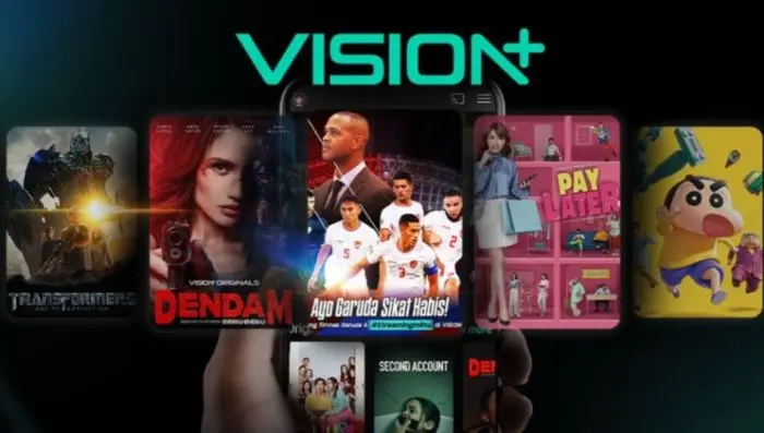 Vision+Iqiyi