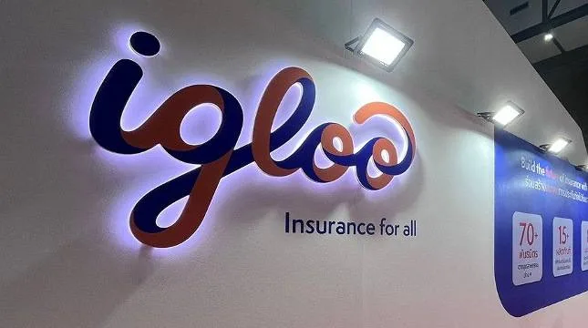 Igloo
