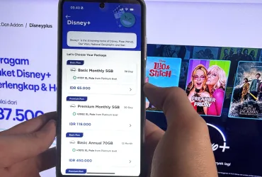 Xlsmart Disney+