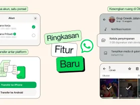 Aplikasi Whatsapp