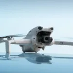 Djidronelito1