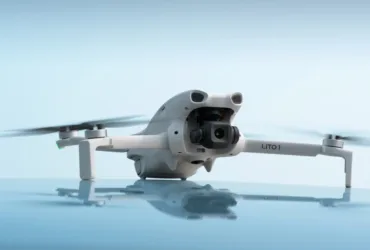 Djidronelito1
