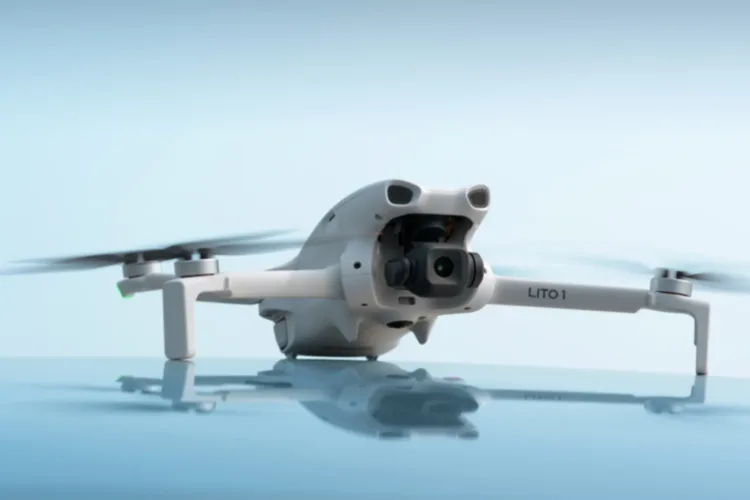 Djidronelito1
