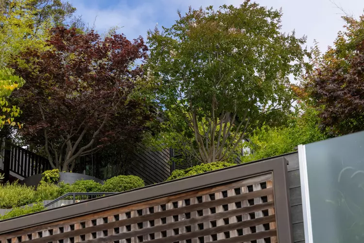 Sam Altman House