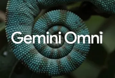Googlegeminiomi