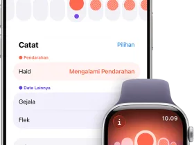 Applehealth