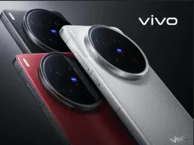 Vivo